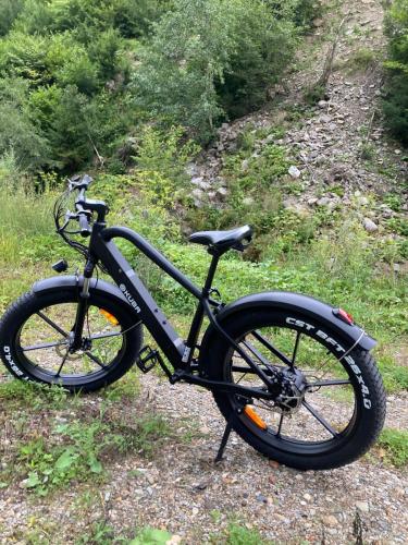 ATV Rodna